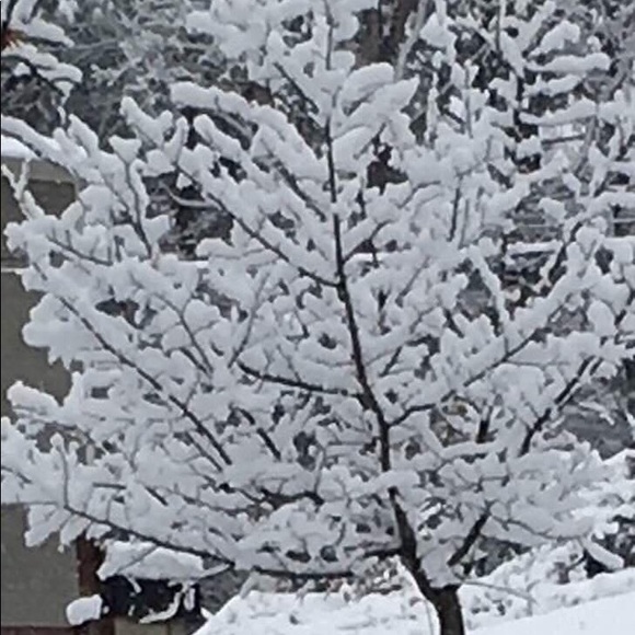 Meet your Posher, Debbie.Handmade jewelry - Picture 15 of 17